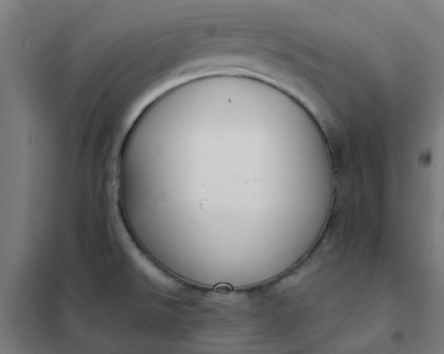 X0000101701526200807241420