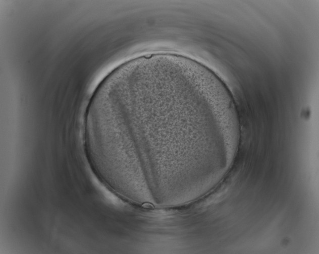 X0000101701527200807241420