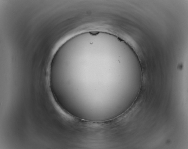 X0000101701528200807241420