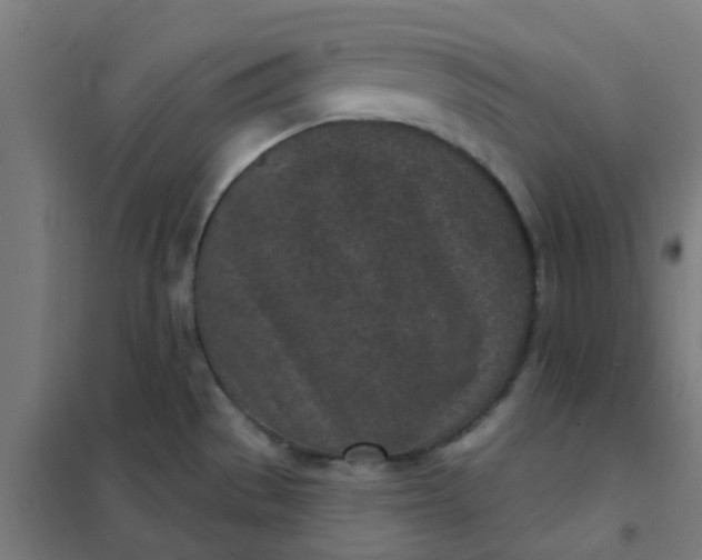 X0000101701529200807241420