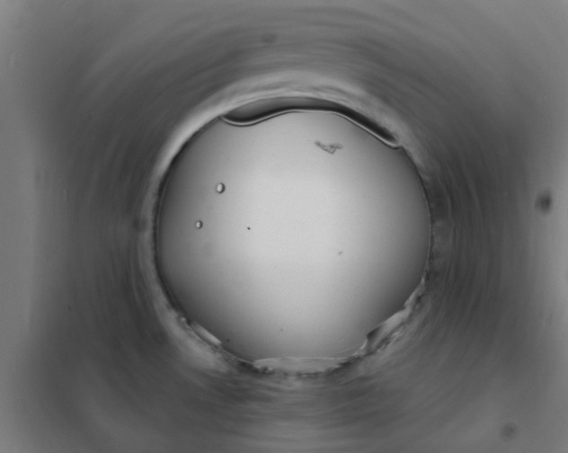 X0000101701530200807241420