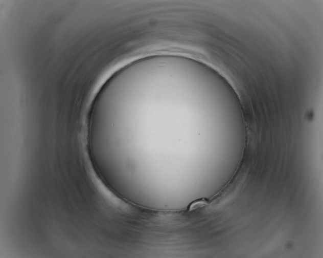 X0000101701531200807241420