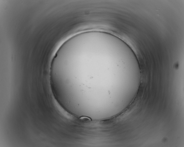 X0000101701532200807241420