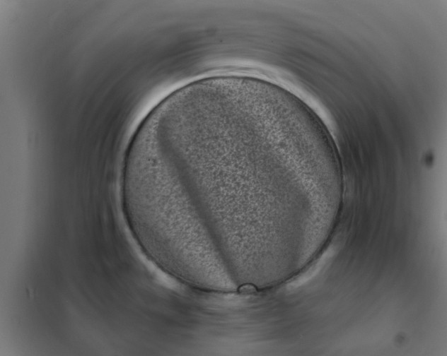 X0000101701533200807241420