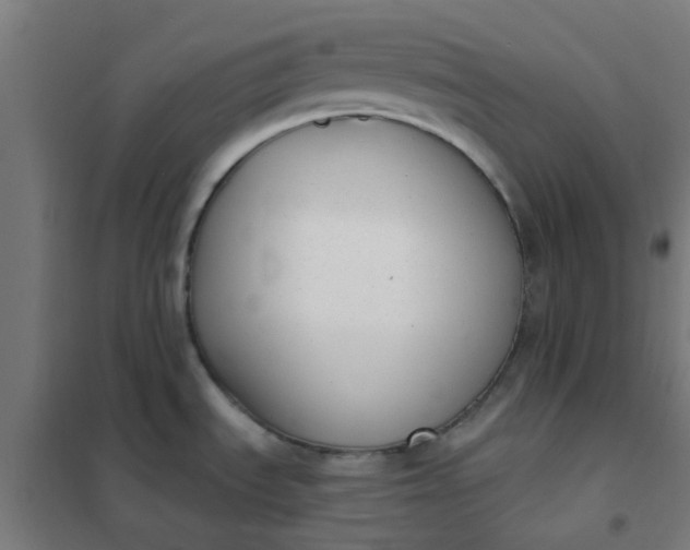 X0000101701535200807241420