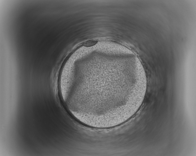 X0000101700002200807311441
