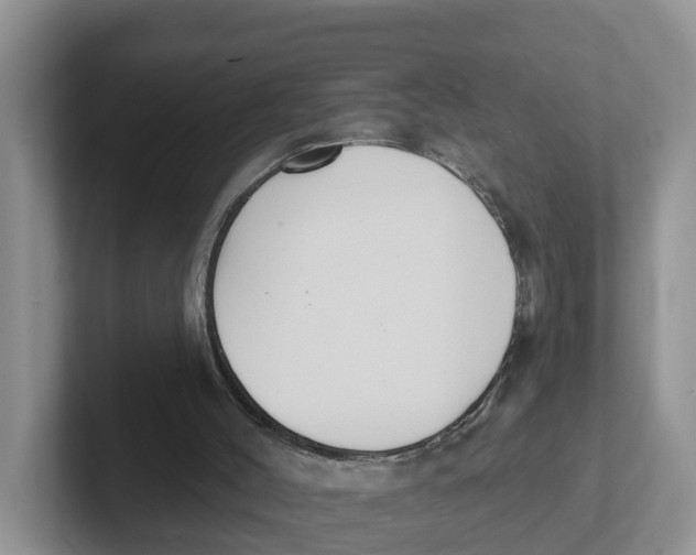 X0000101700004200807311441