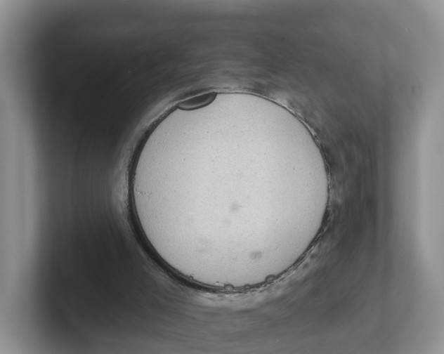 X0000101700005200807311441
