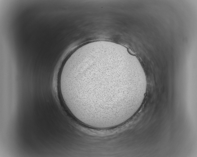 X0000101700006200807311441