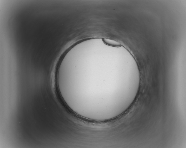 X0000101700008200807311441