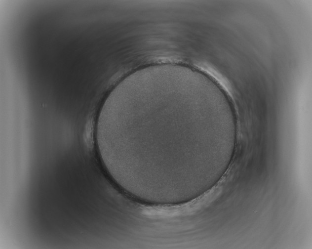 X0000101700009200807311441