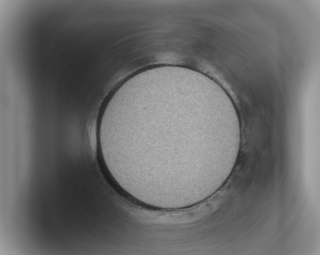 X0000101700011200807311441