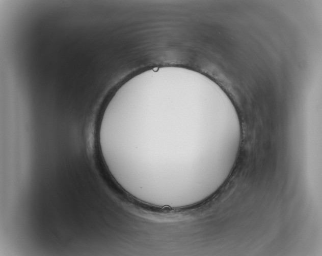 X0000101700012200807311441