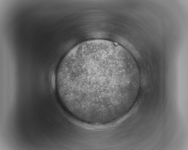 X0000101700014200807311441