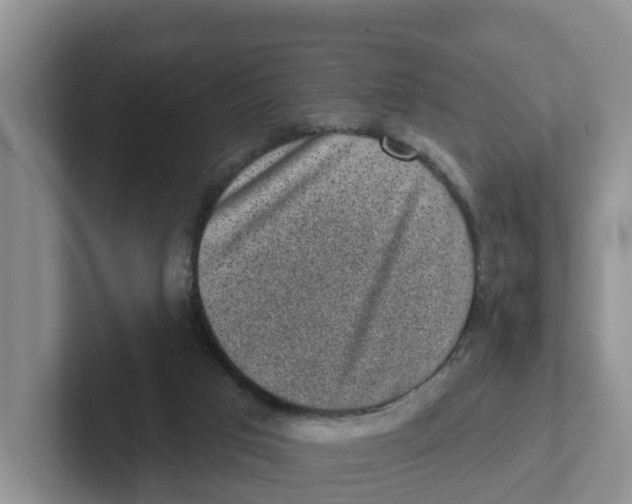 X0000101700017200807311441