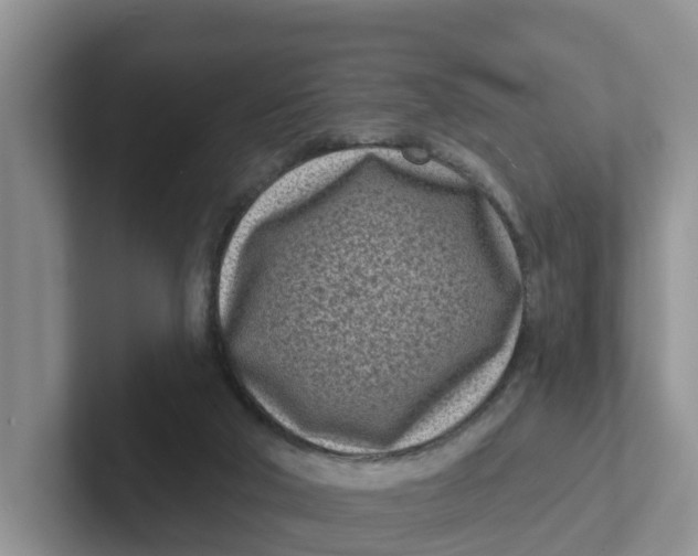 X0000101700018200807311441