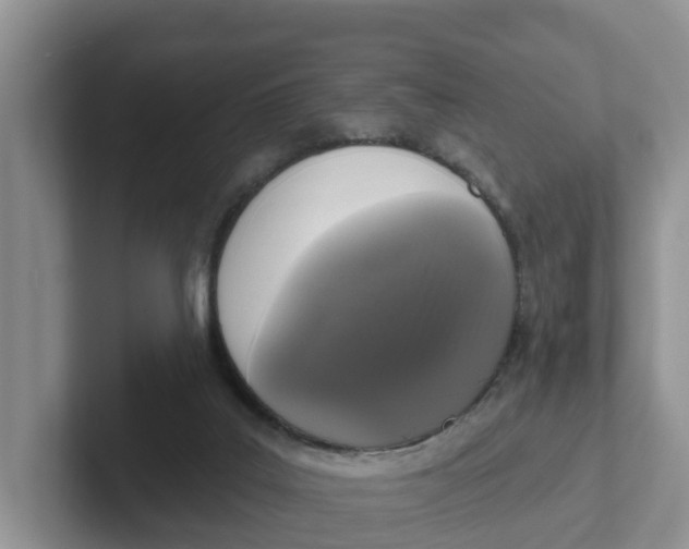X0000101700019200807311441
