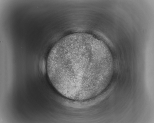 X0000101700022200807311441