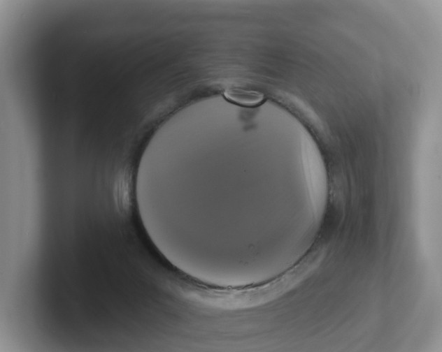 X0000101700023200807311441
