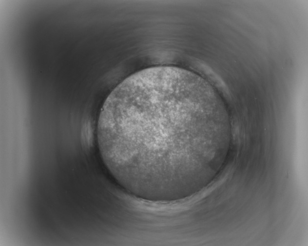 X0000101700026200807311441