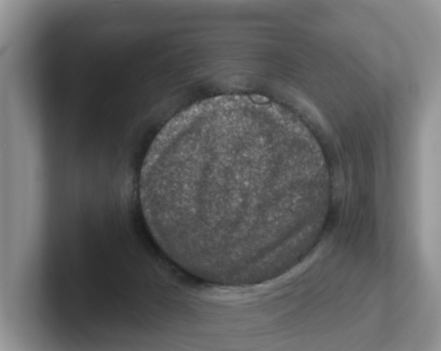 X0000101700029200807311441