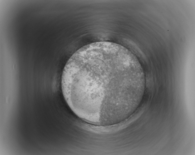 X0000101700030200807311441