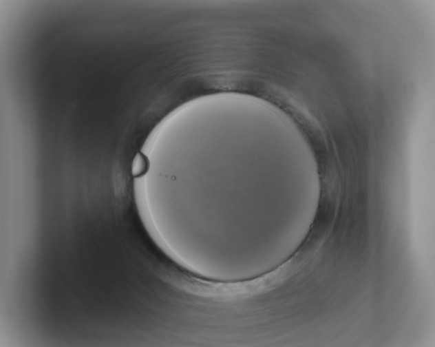 X0000101700031200807311441