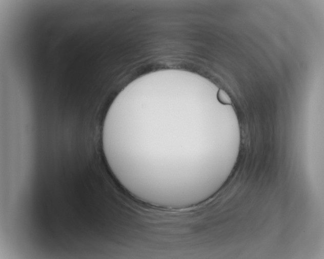 X0000101700036200807311441