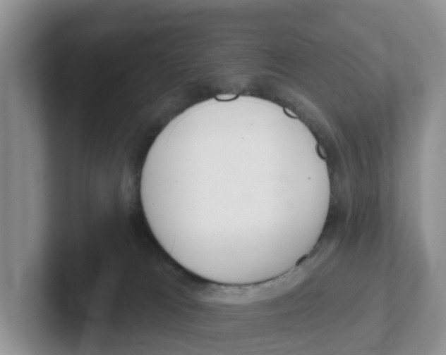 X0000101700037200807311441
