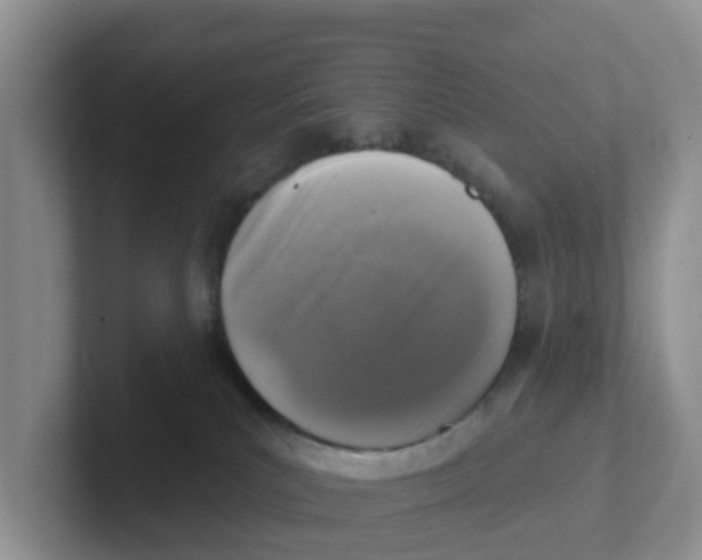X0000101700039200807311440