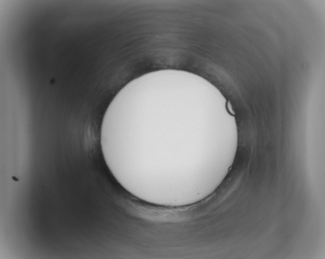 X0000101700040200807311440
