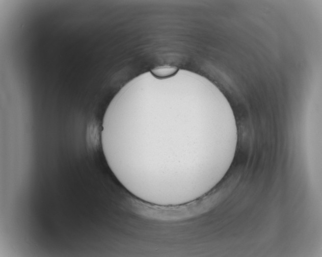 X0000101700042200807311440