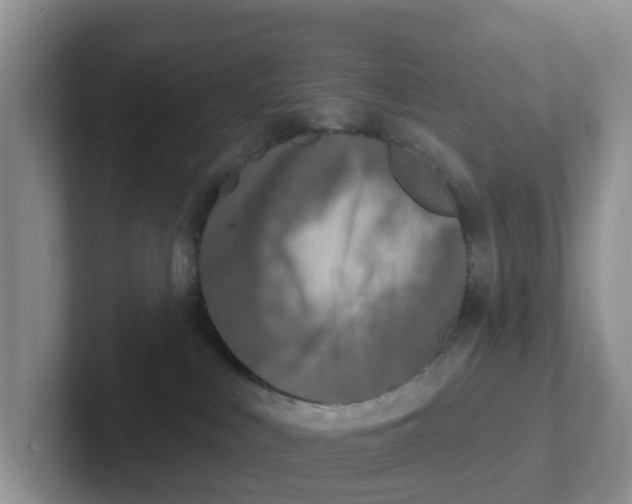 X0000101700043200807311440