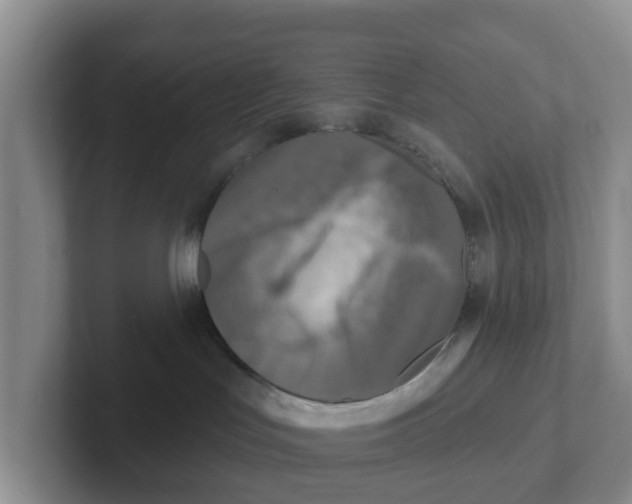 X0000101700047200807311440