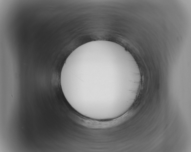 X0000101700048200807311440