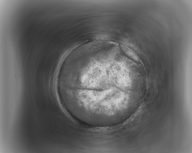 X0000101700049200807311440