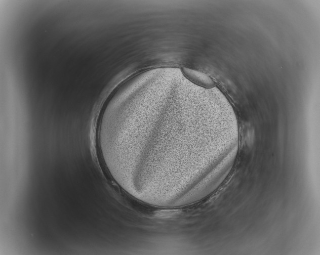 X0000101700051200807311440