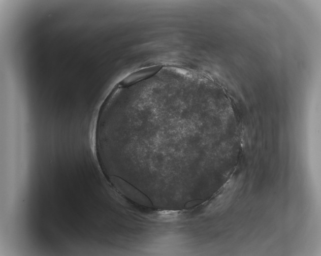 X0000101700052200807311440
