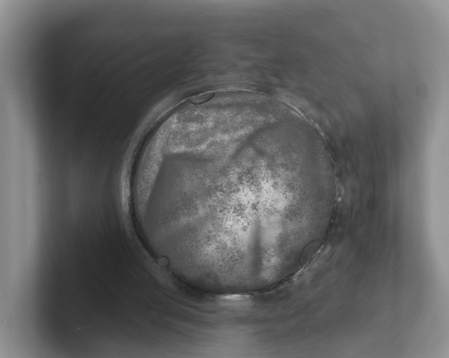 X0000101700053200807311440