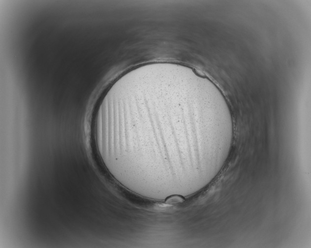 X0000101700055200807311440