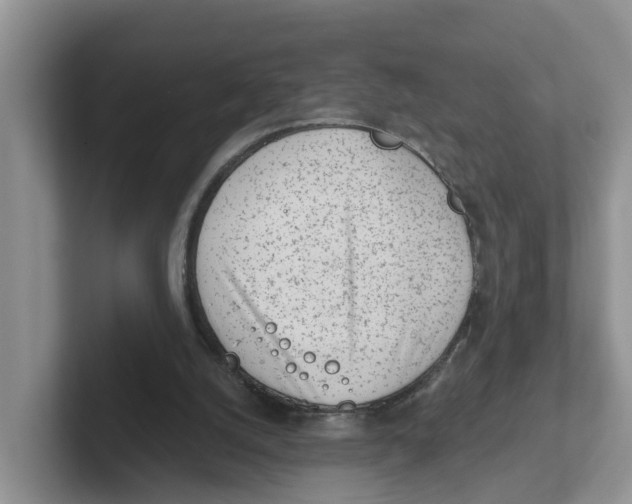 X0000101700056200807311440
