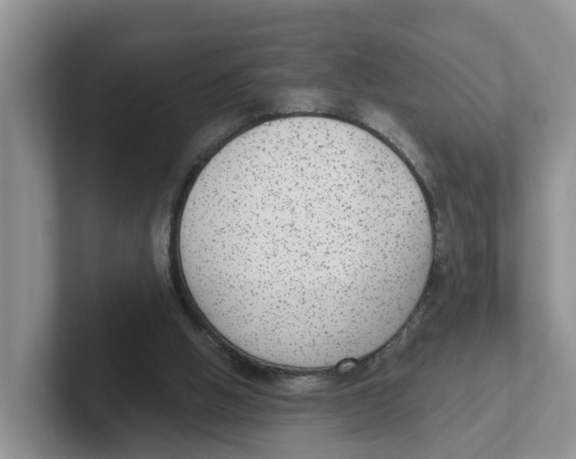 X0000101700058200807311440