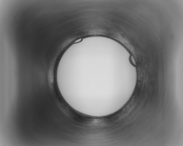 X0000101700060200807311440