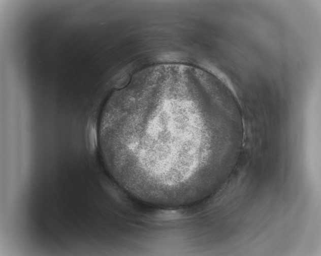 X0000101700061200807311440