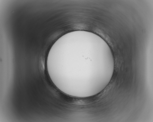 X0000101700062200807311440
