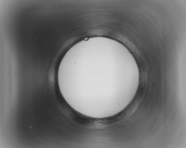 X0000101700064200807311440