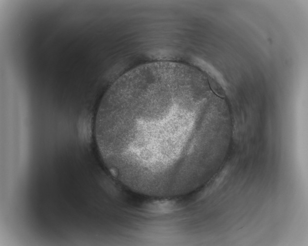 X0000101700065200807311440