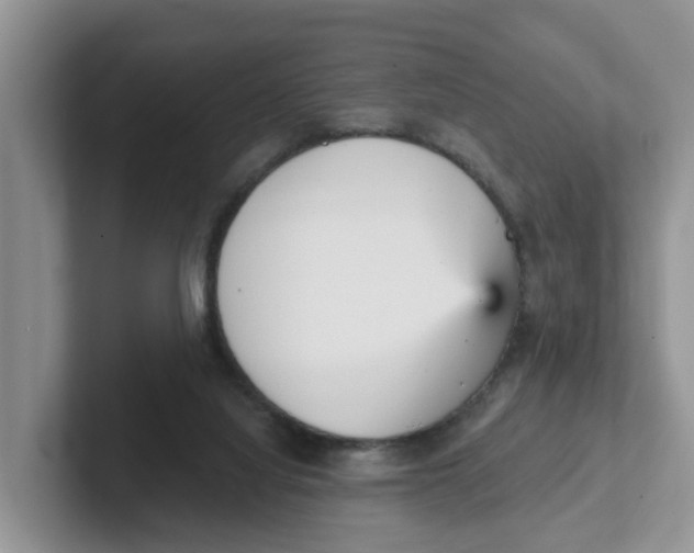 X0000101700068200807311440
