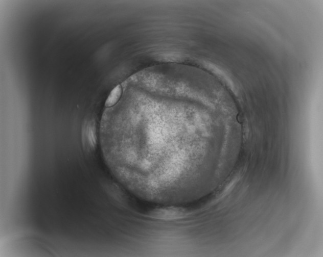 X0000101700069200807311440