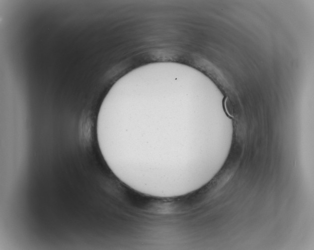 X0000101700071200807311440